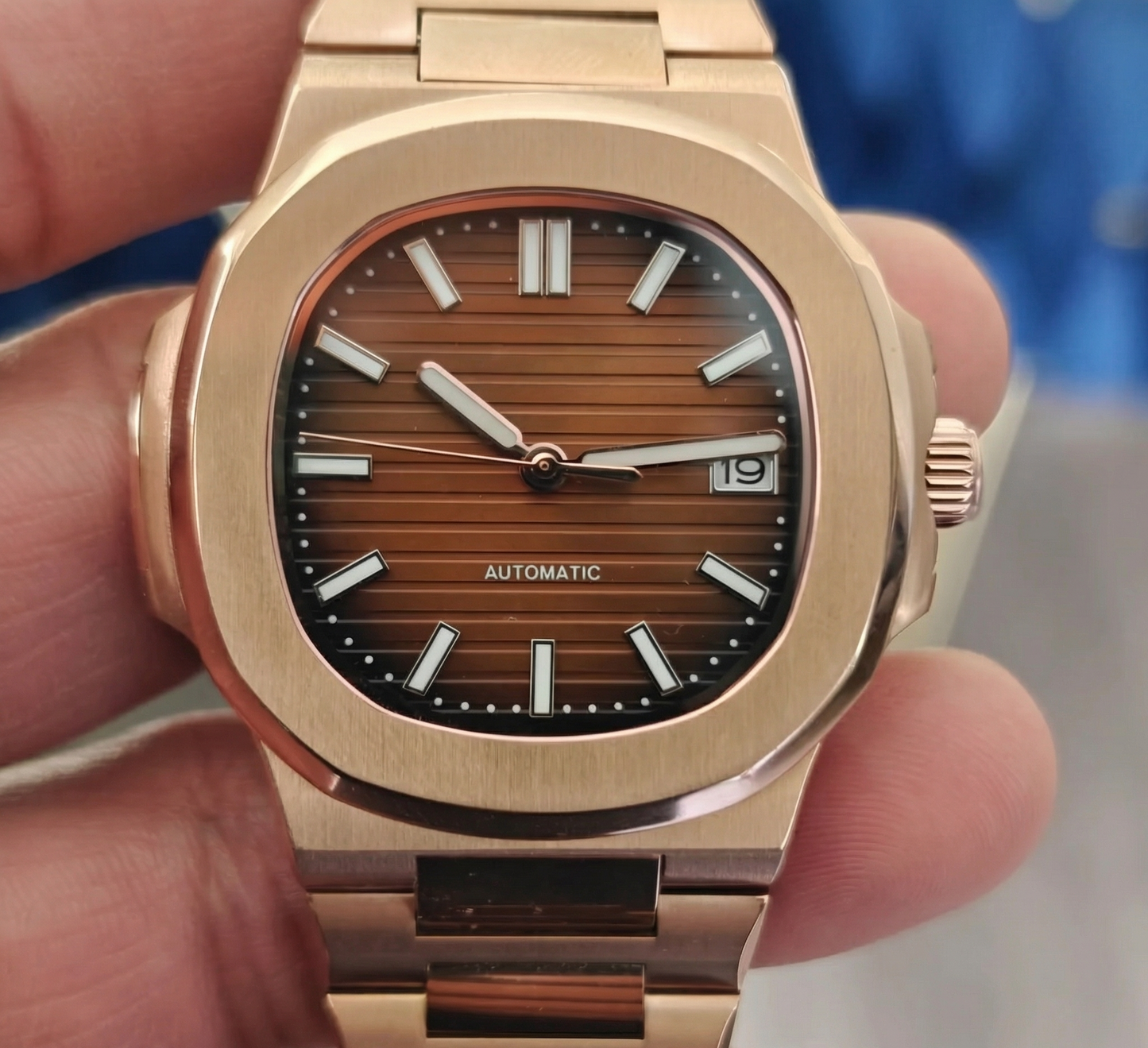 The Helix | Chocolate Sovereign ™