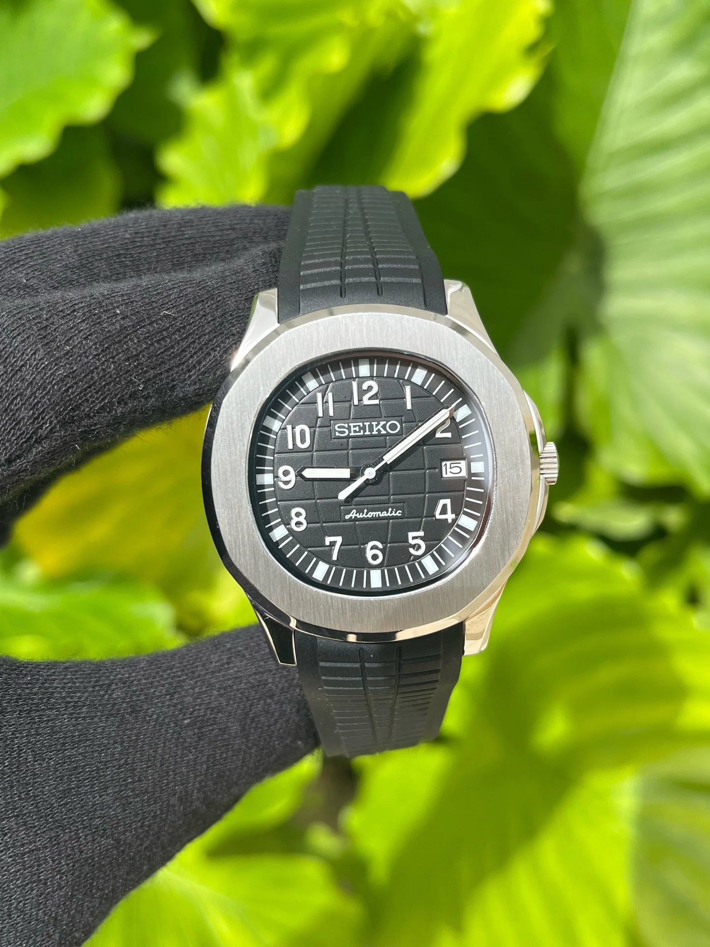 The Radius | Olive ™